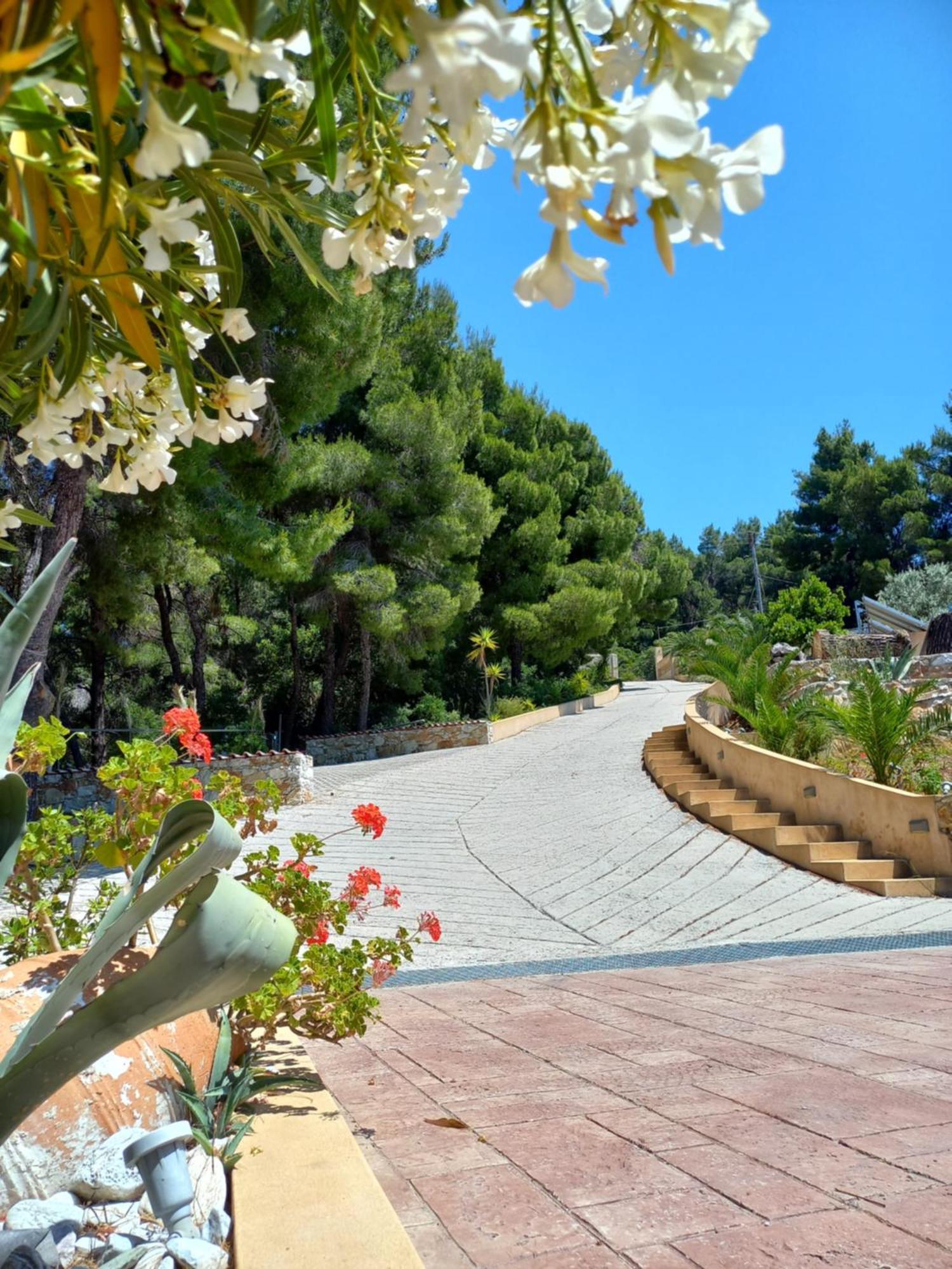 Core Luxury Suites (Adults Only) Skiathos-stad Buitenkant foto